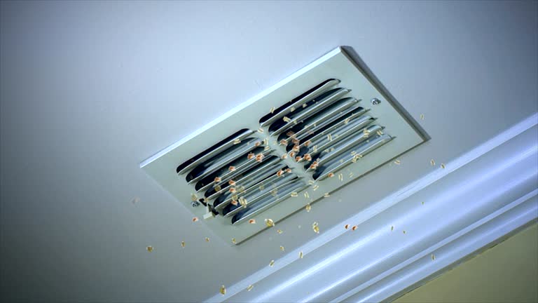 Best HVAC Duct Inspection Services  in Alexandria, IN